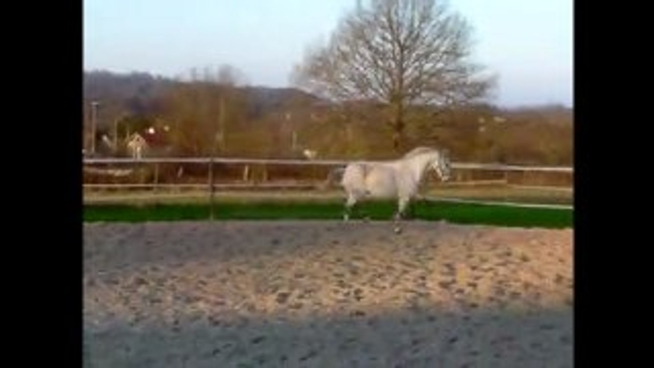 test video cdc