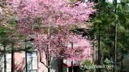 Crestview West Apartment Homes in Federal Way, WA