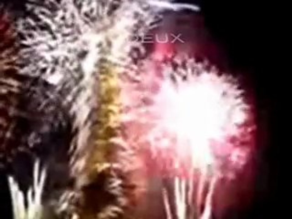 Chat chatouille meilleurs voeux