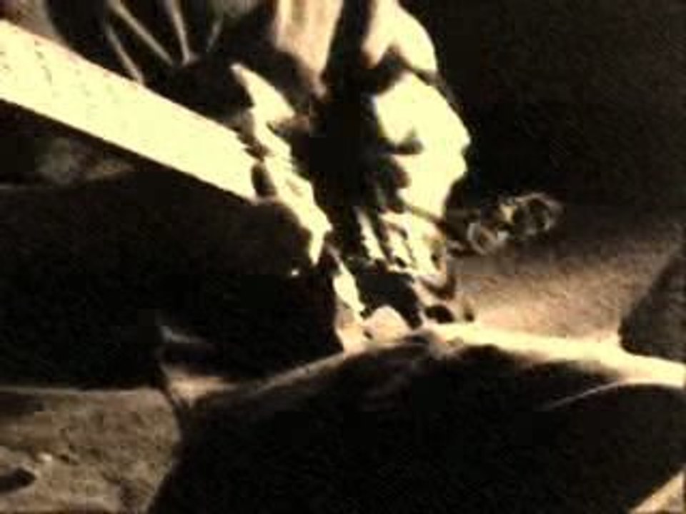 Farewell Ballad - Zakk Wylde (cover solo)