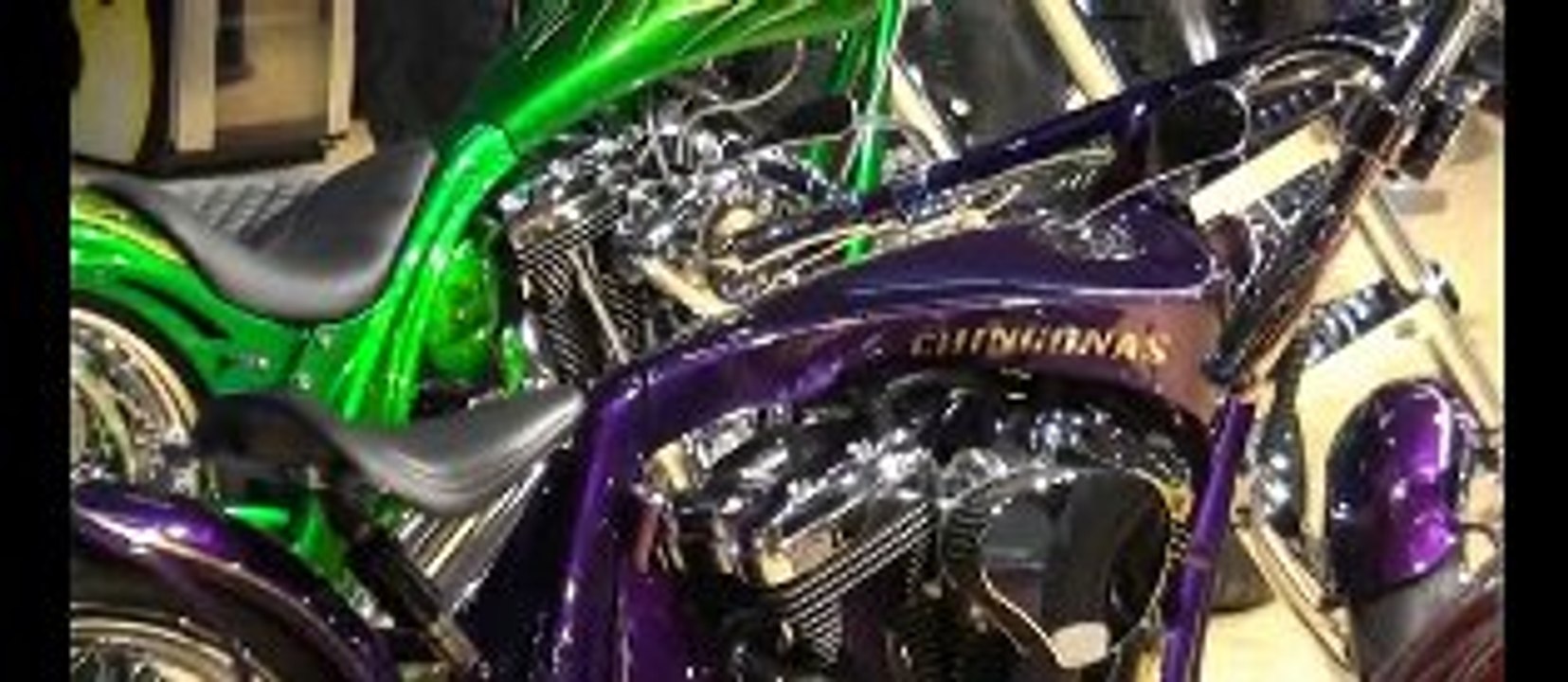 Custombike 2009 in Bad Salzuflen-Bikes - Harley Davidson