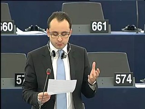 Cristian Silviu Buşoi on professional qualifications