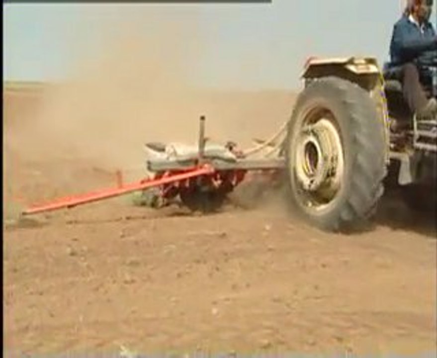 BAKLASI YENEN SEBZELER