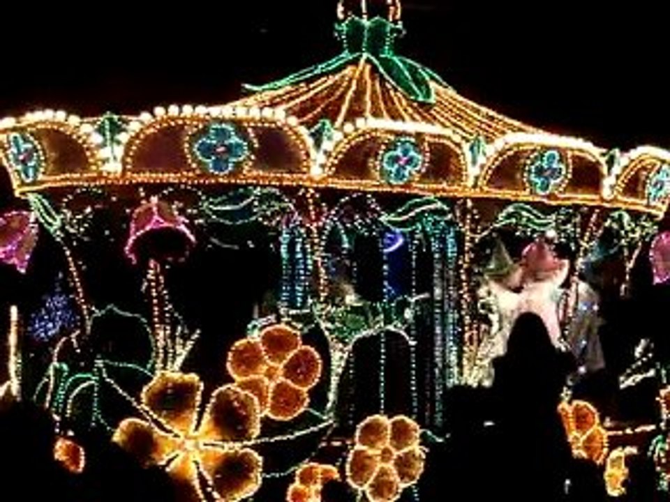 disney  parade de nuit