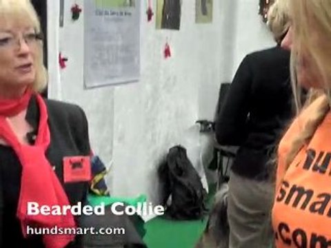 Bearded Collie specialklubben - Hundsmart