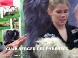 CLUB BERGER DES PYRÉNÉES - Hundsmart