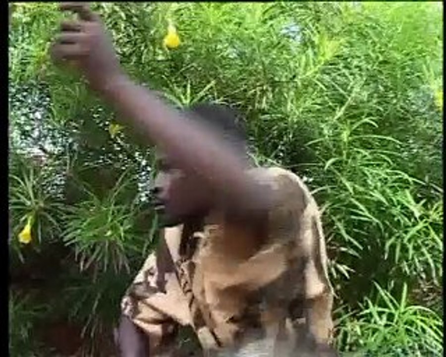 LA SONNETTE D'ALARME DE LA MUSIQUE TRADITIONNELLE 01