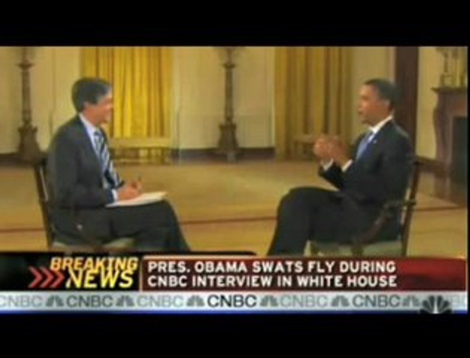 Obama, un ninja tueur de mouche