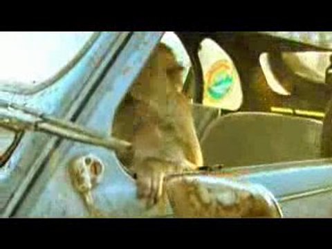 L'ingénierie vue par les singes