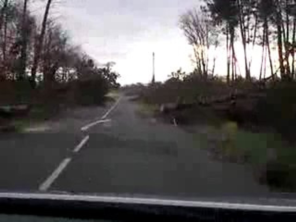 Sur une route des Landes, le lendemain de la tempête