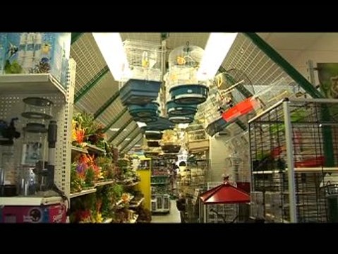 Happypromo: Animalerie Le Scalaire Mondeville Caen Calvados