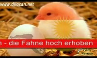 Kürtce-Kurdisch international songs