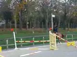 4 ans par helios de la cour