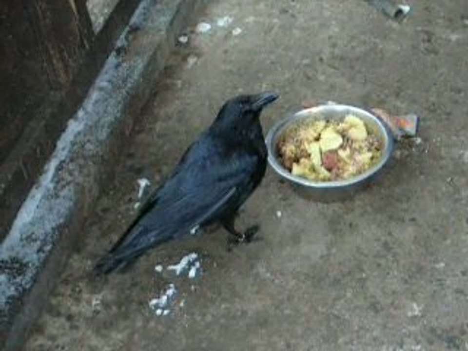 17 12 09 Mistinguette, Delta et FArgo