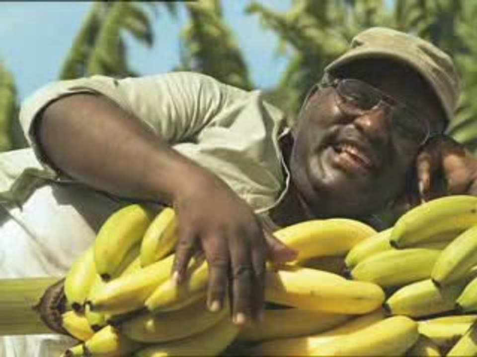 Banane de Guadeloupe et Martinique - La caissiere