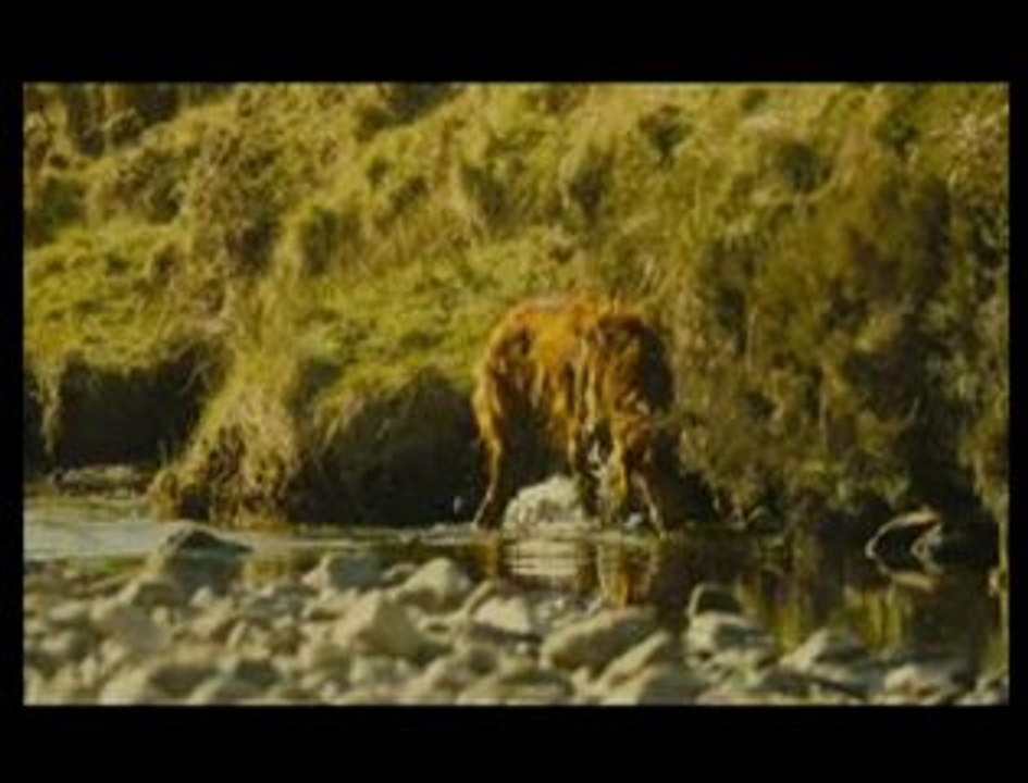 CINE. Deux jours à tuer : la bande-annonce