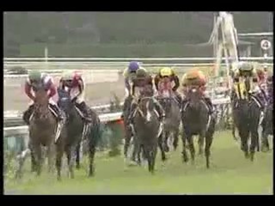 2005 KIKKASHOU deepimpact
