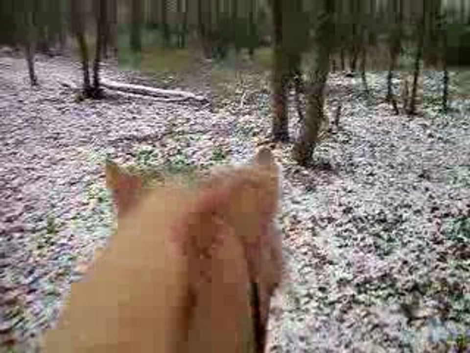Pilou neige 2009