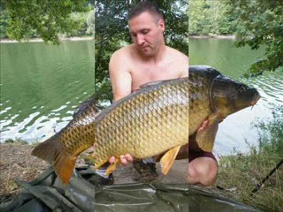 saison 2009