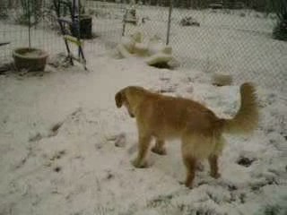 Elysée et la neige 2009 008