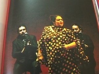 Livre: "Flamenco en Flammes" (Nîmes)