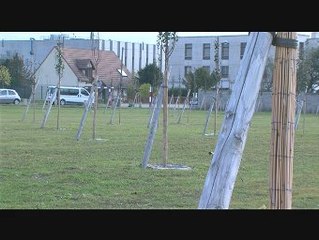 La nouvelle promenade plantée au Plessis-Bouchard