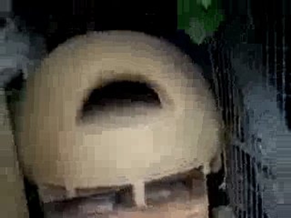 100_6819