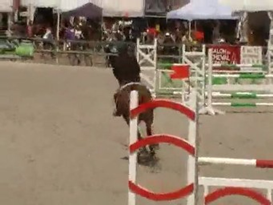 lamotte2_2009