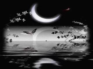 MURAT GÖĞEBAKAN(keşke tanımasaydım seni )