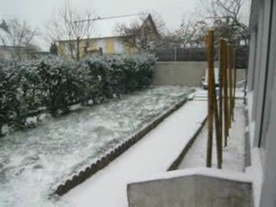 Darwin retrouve la neige
