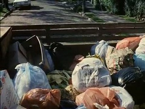 L'île aux fleurs - Ilha das flores