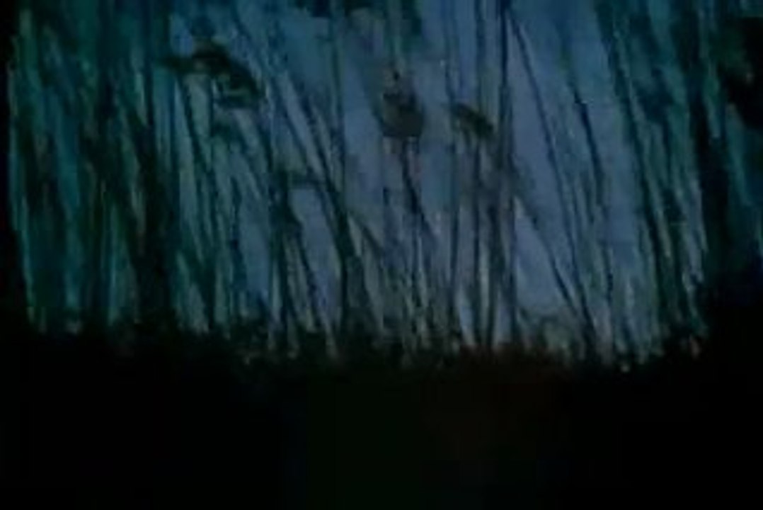 The True Story of the Lord Jesus in Twi P 5 (Jesus film)