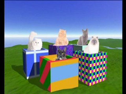 Poes, lieve poes Bruno Pinkhof