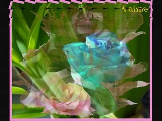 oui super nous deux abdou a la plage