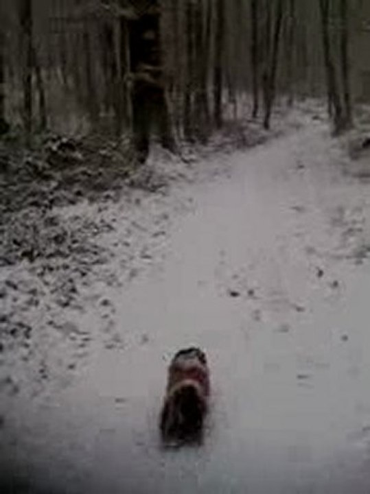 rixie et la neige