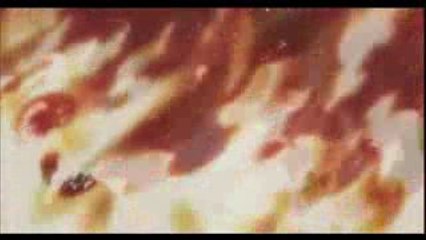 FSN UBW trailer