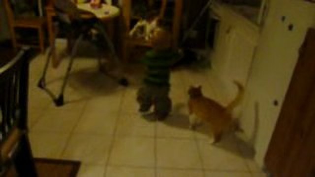 La Marche VERSION longue 2