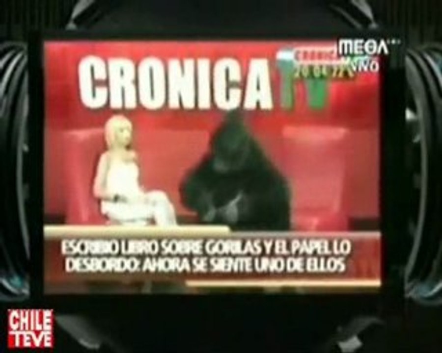 Un gorila en el Top Five del CQC - Chile - 29/11/2009