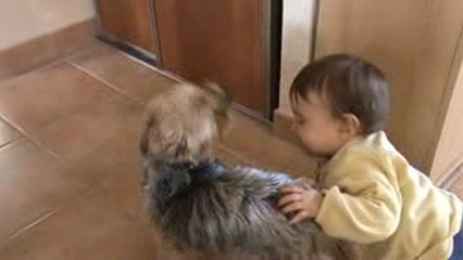 La poursuite infernale