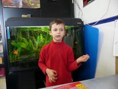 On ne peut rien faire Alexandre en solo lip dub