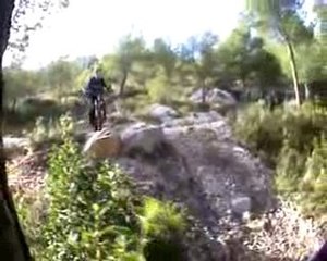 Test Jaff roy d'espagne