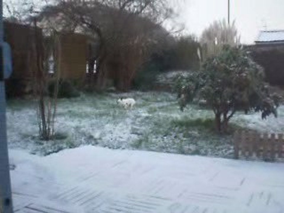 un ptit pipi vite fait...