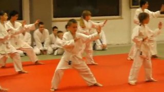 Cours donné au shotokan karaté herseaux