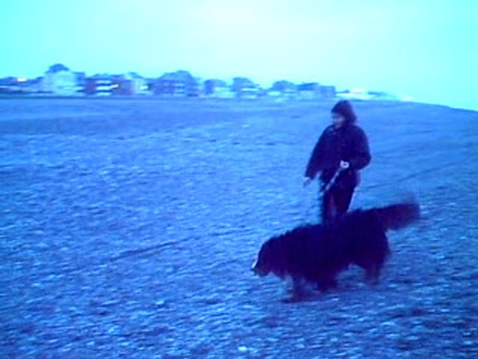 CLIP0062