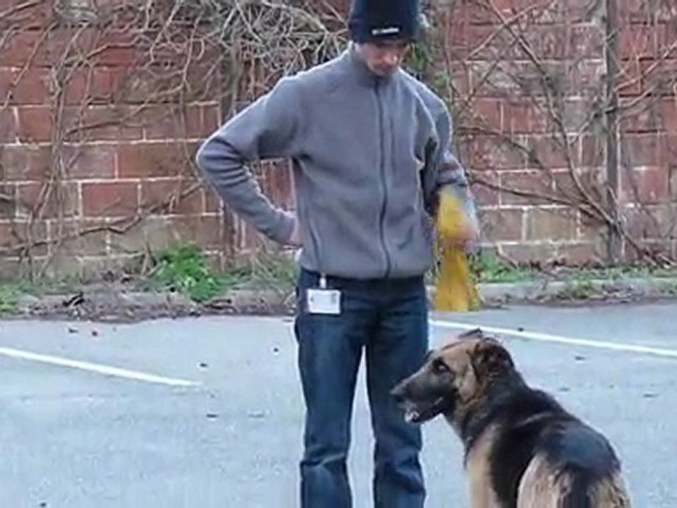 Maya: Jeux le 16/12/09