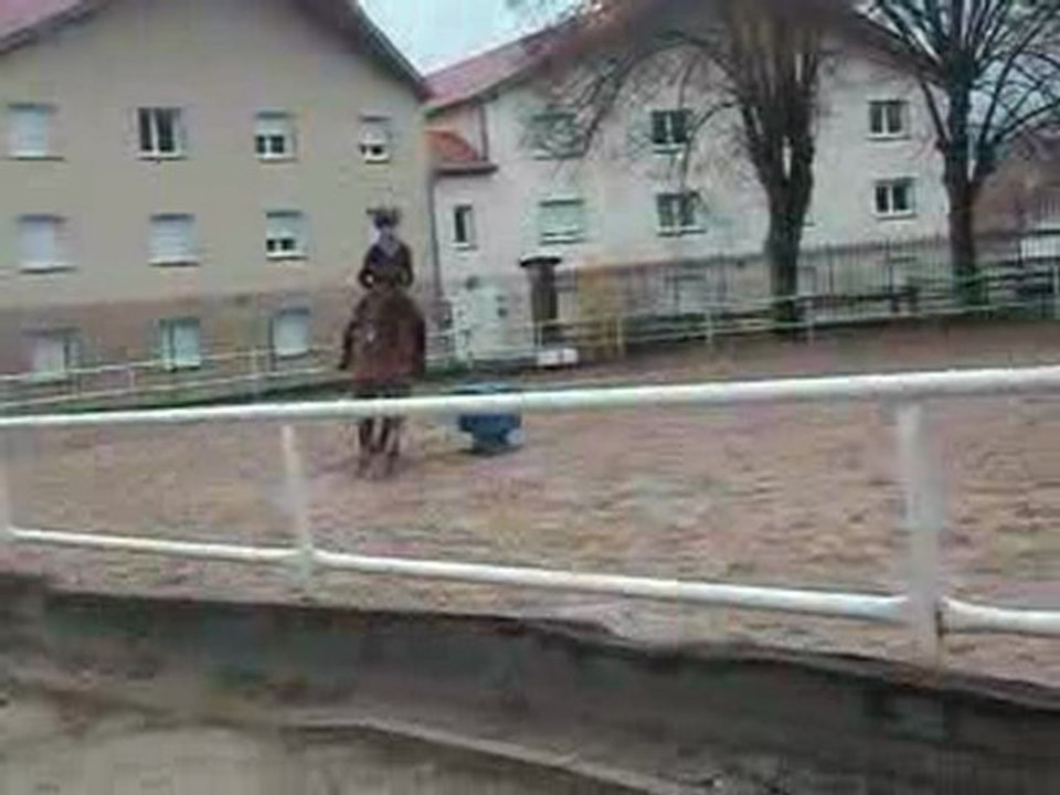 ghiu (6)