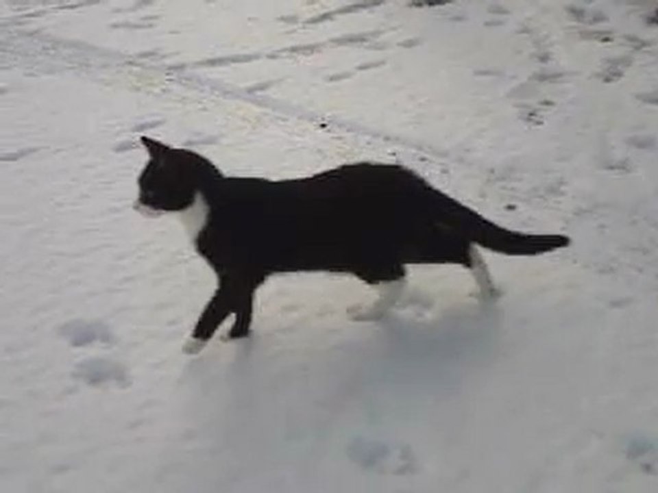 Ellie et la neige