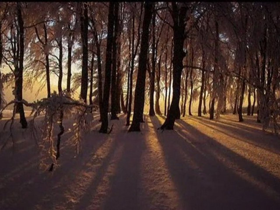 Antonio Vivaldi, Cztery pory roku, Zima