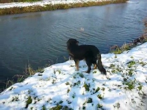 Swallie Rennes 12/2009 /6