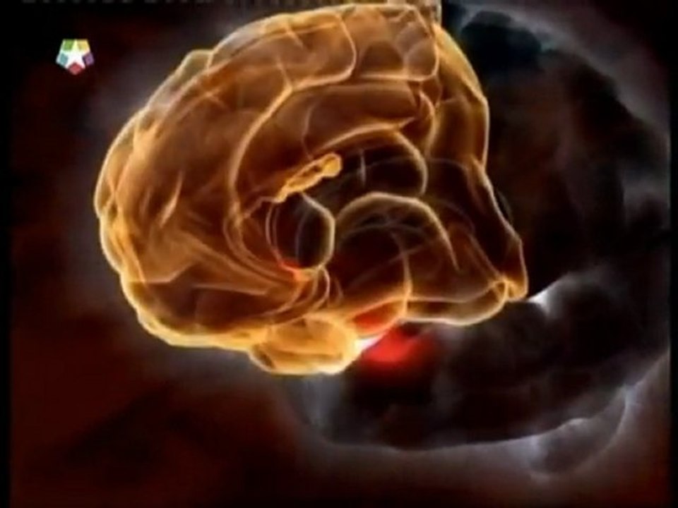 Psicoterapia: Cambios cerebrales